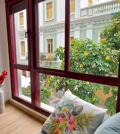 Palmas Las Palmas de Gran Canaria